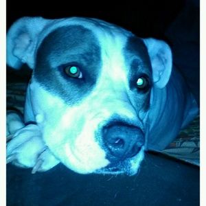 Meet your Posher, Evona